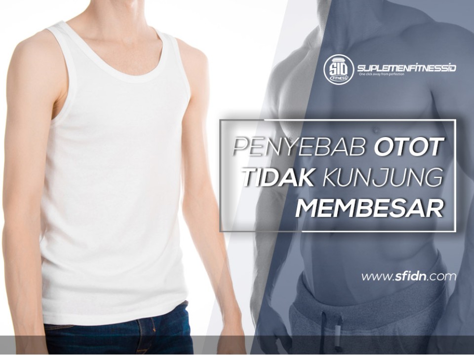 Penyebab Otot Tidak Kunjung Membesar