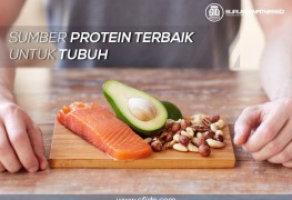 Sumber protein terbaik untuk tubuh