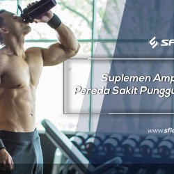 Suplemen Ampuh Pereda Sakit Punggung