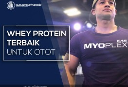 Whey Protein Terbaik untuk membentuk otot