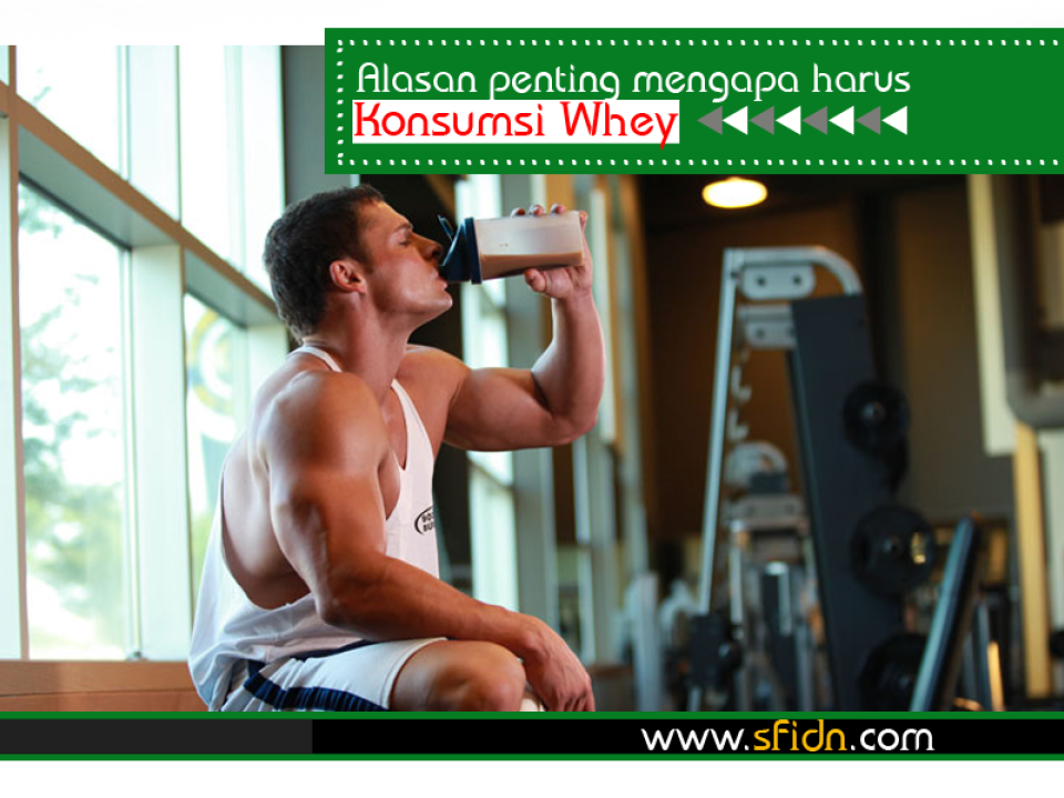 Alasan Penting Mengapa Harus Konsumsi Whey