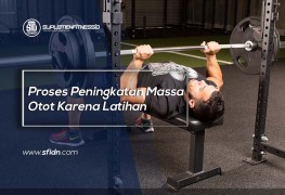 Proses Peningkatan Massa Otot Karena Latihan
