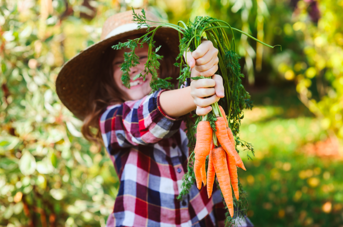 sfidn - 5 Ecologically Friendly Life Hacks